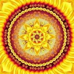 Profile picture of Sonia