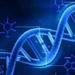 Profile picture of Mito