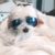 Profile picture of Janet