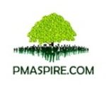 Profile picture of PMaspire Limited