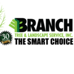 Profile picture of Branch Tree Landscape Service