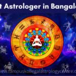Profile picture of famouskollegalastrologycentre
