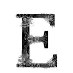 Profile picture of martinemma854