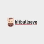 Profile picture of hitbullseye