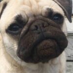 Profile picture of Amanda